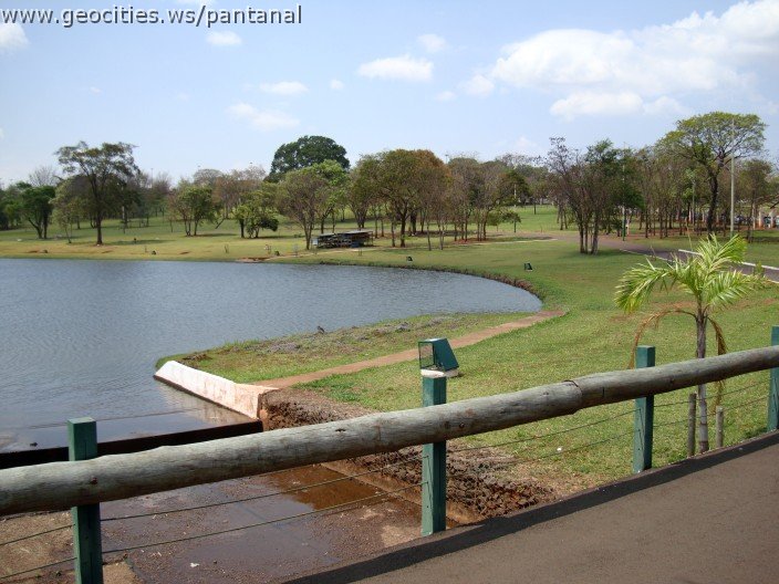 3573-geocities-ws-pantanal.jpg