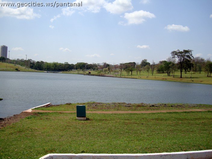 3576-geocities-ws-pantanal.jpg