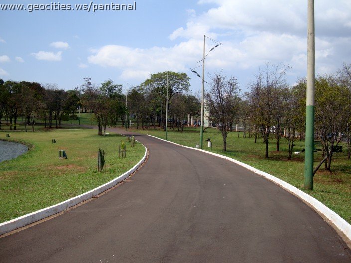 3577-geocities-ws-pantanal.jpg