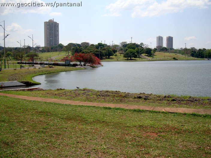3578-geocities-ws-pantanal.jpg
