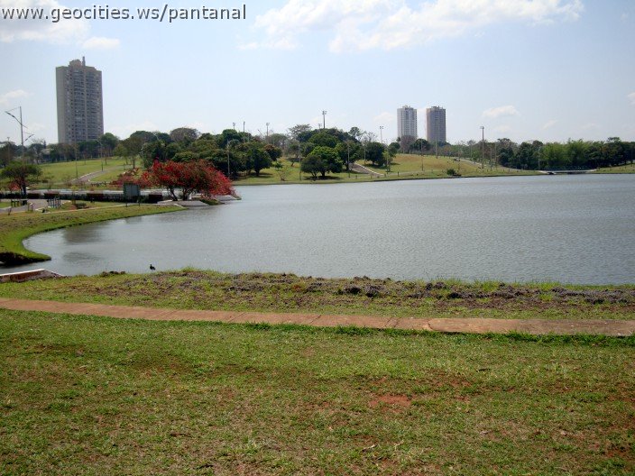 3579-geocities-ws-pantanal.jpg