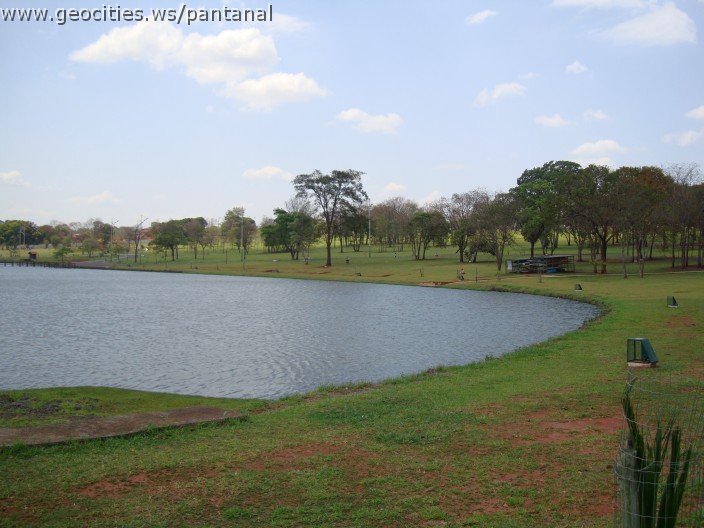 3581-geocities-ws-pantanal.jpg