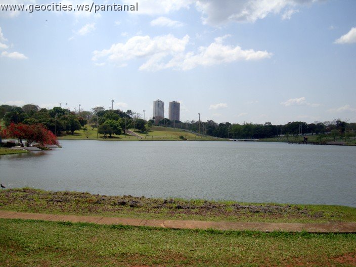 3583-geocities-ws-pantanal.jpg