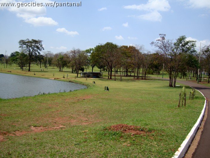3584-geocities-ws-pantanal.jpg