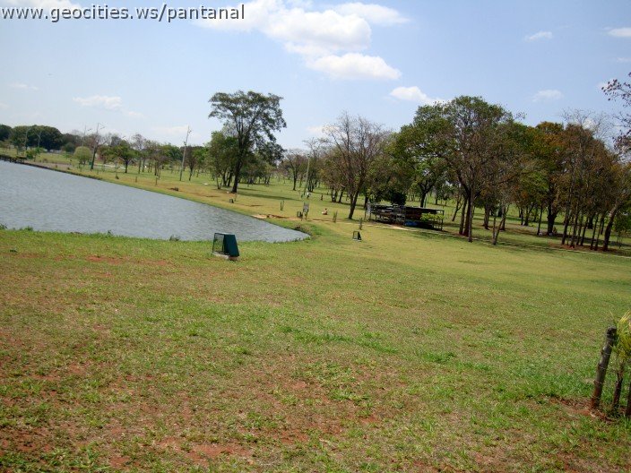 3585-geocities-ws-pantanal.jpg