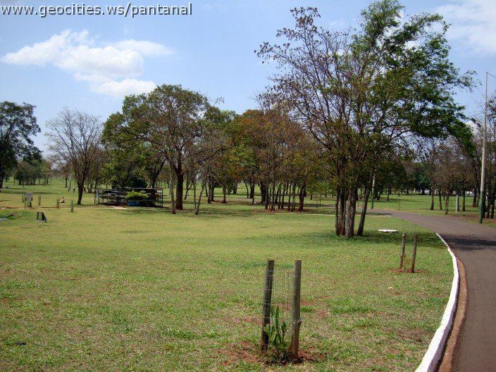 3586-geocities-ws-pantanal.jpg
