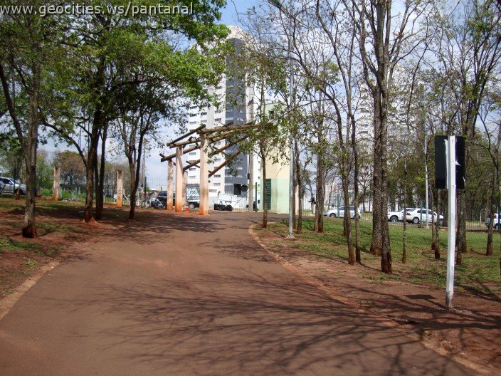 3590-geocities-ws-pantanal.jpg