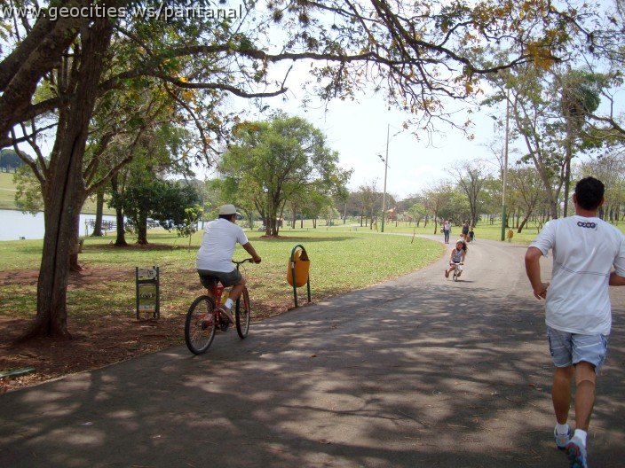 3591-geocities-ws-pantanal.jpg