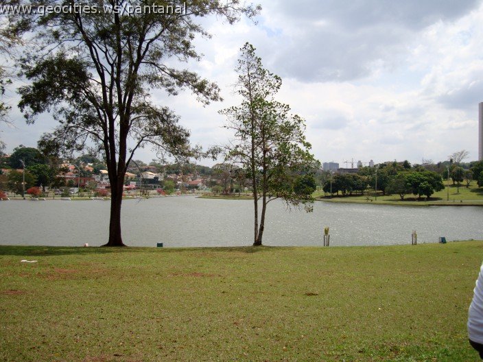 3594-geocities-ws-pantanal.jpg