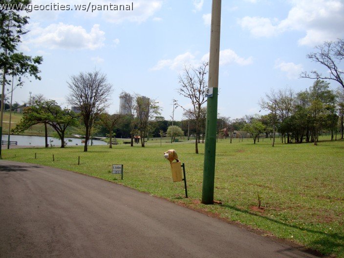3595-geocities-ws-pantanal.jpg