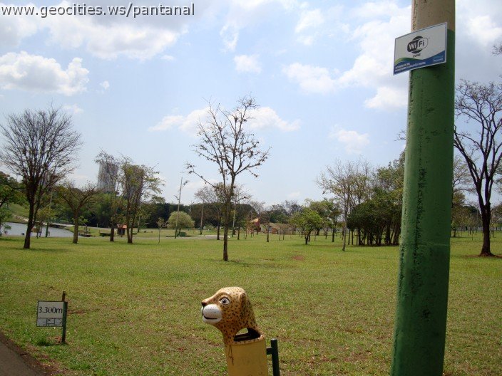 3596-geocities-ws-pantanal.jpg