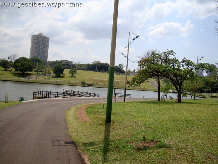 3597-geocities-ws-pantanal.jpg