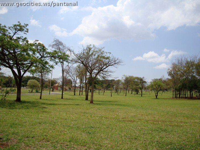3598-geocities-ws-pantanal.jpg