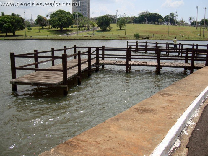 3599-geocities-ws-pantanal.jpg