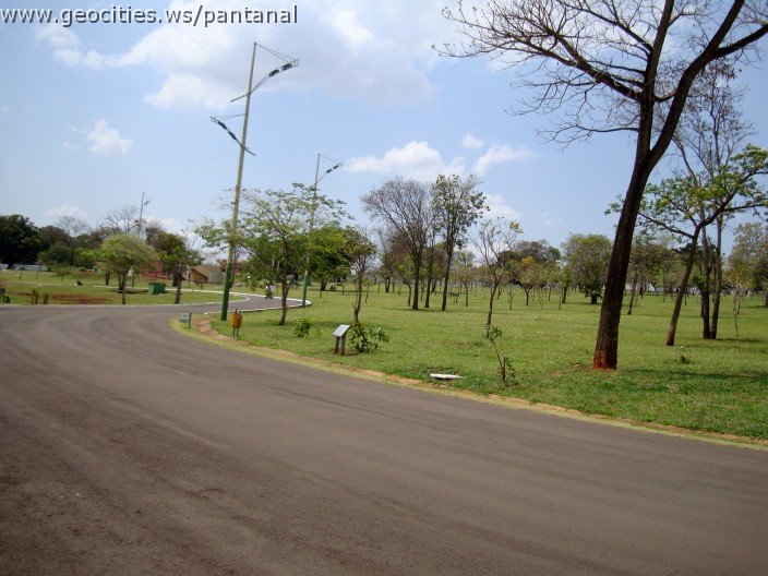 3600-geocities-ws-pantanal.jpg