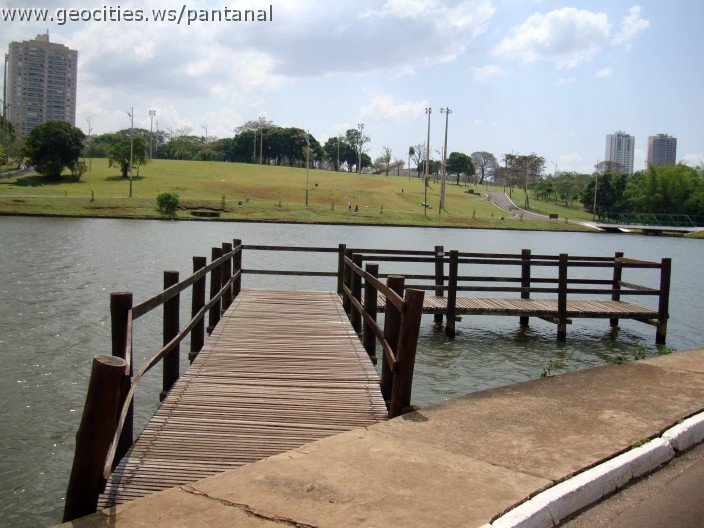 3601-geocities-ws-pantanal.jpg