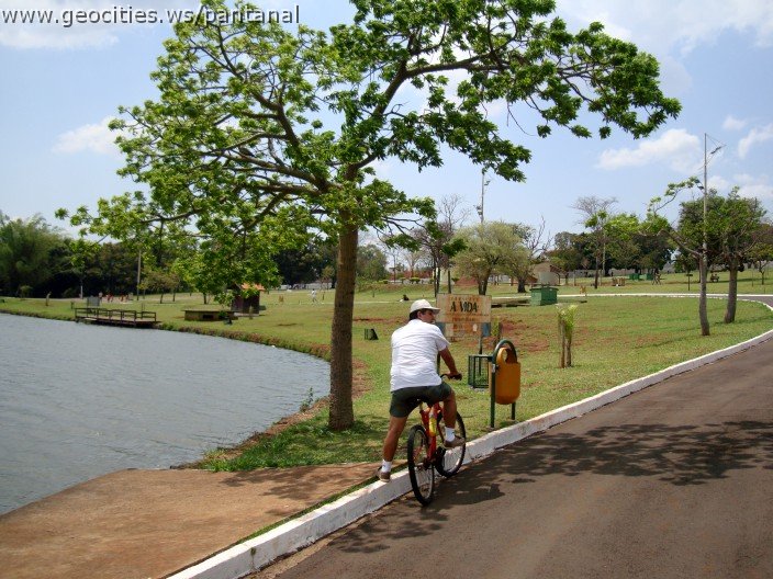 3602-geocities-ws-pantanal.jpg