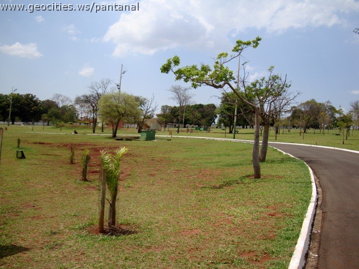3604-geocities-ws-pantanal.jpg