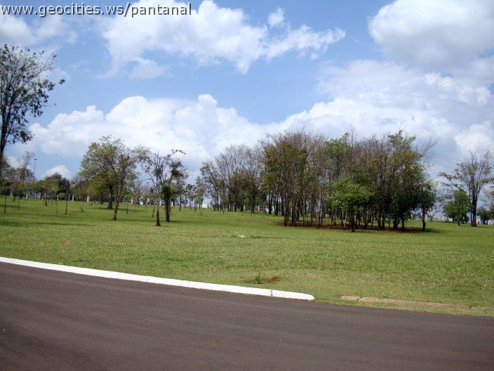 3605-geocities-ws-pantanal.jpg