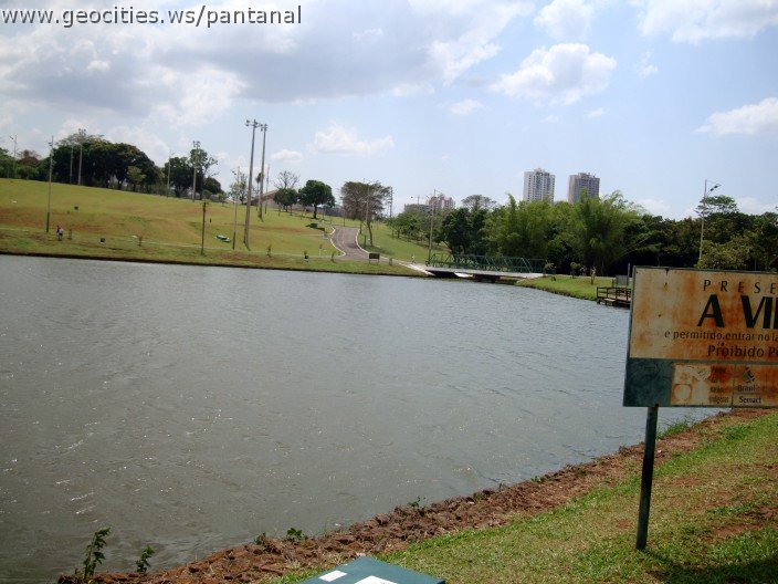 3606-geocities-ws-pantanal.jpg