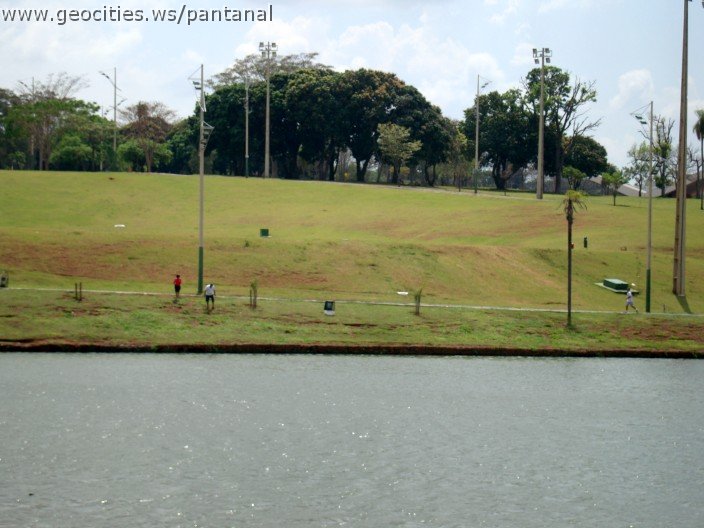 3607-geocities-ws-pantanal.jpg