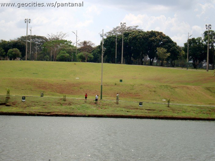 3608-geocities-ws-pantanal.jpg