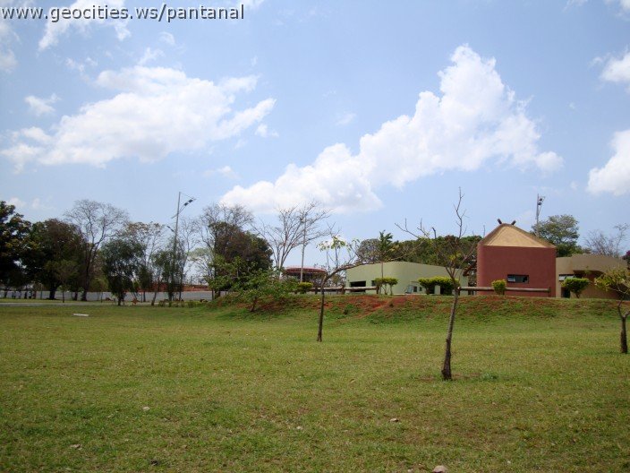 3610-geocities-ws-pantanal.jpg