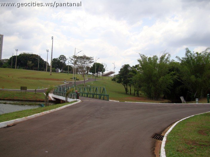 3611-geocities-ws-pantanal.jpg
