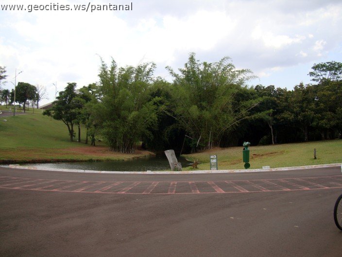 3616-geocities-ws-pantanal.jpg