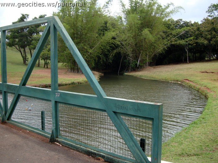 3622-geocities-ws-pantanal.jpg