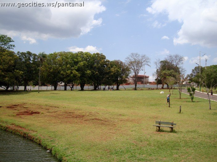 3626-geocities-ws-pantanal.jpg