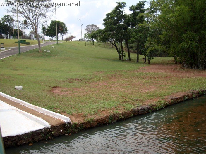 3630-geocities-ws-pantanal.jpg