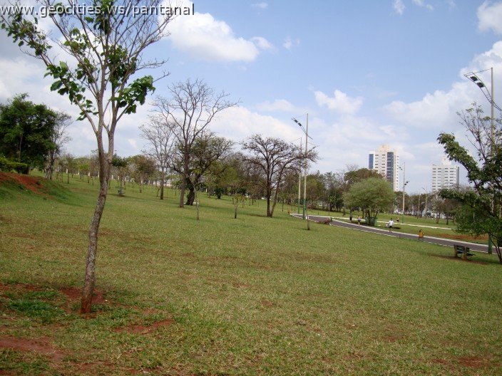 3633-geocities-ws-pantanal.jpg