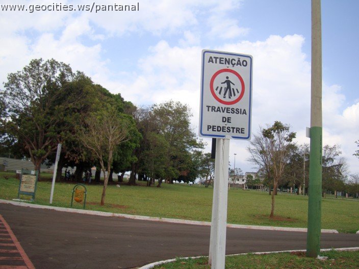 3634-geocities-ws-pantanal.jpg