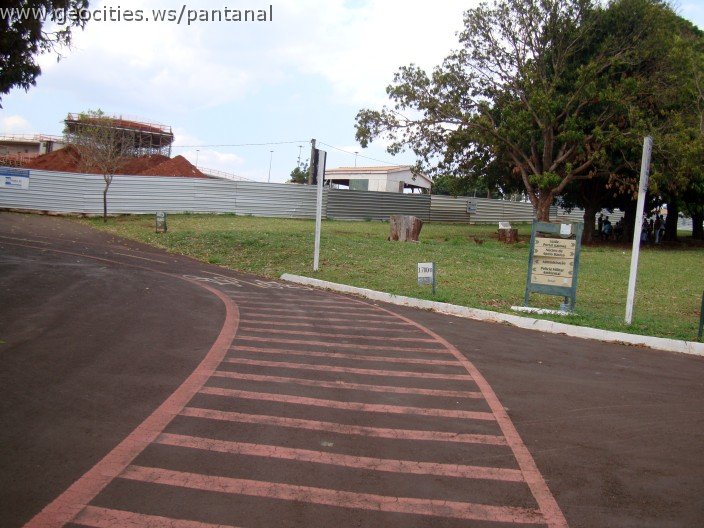 3635-geocities-ws-pantanal.jpg