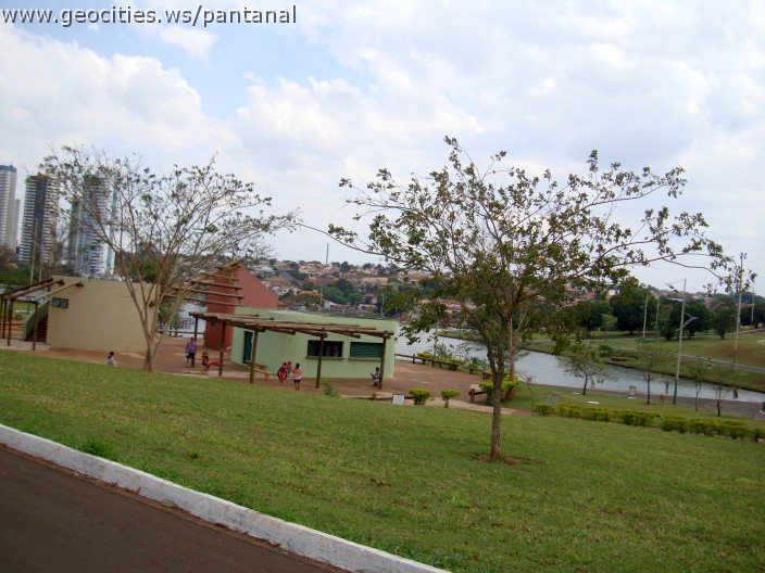 3637-geocities-ws-pantanal.jpg
