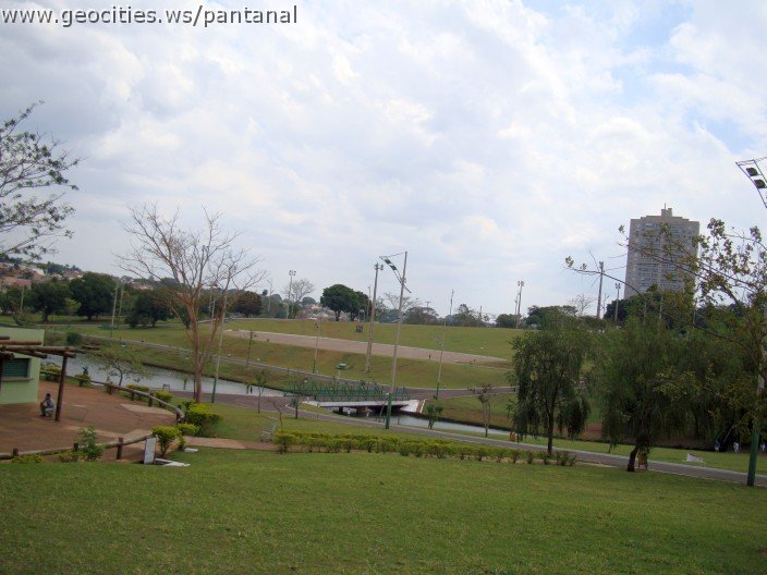 3638-geocities-ws-pantanal.jpg