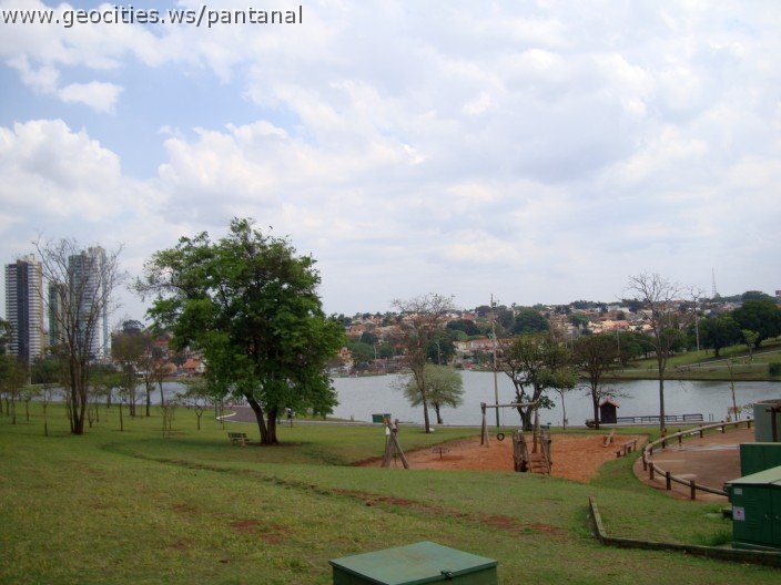 3641-geocities-ws-pantanal.jpg