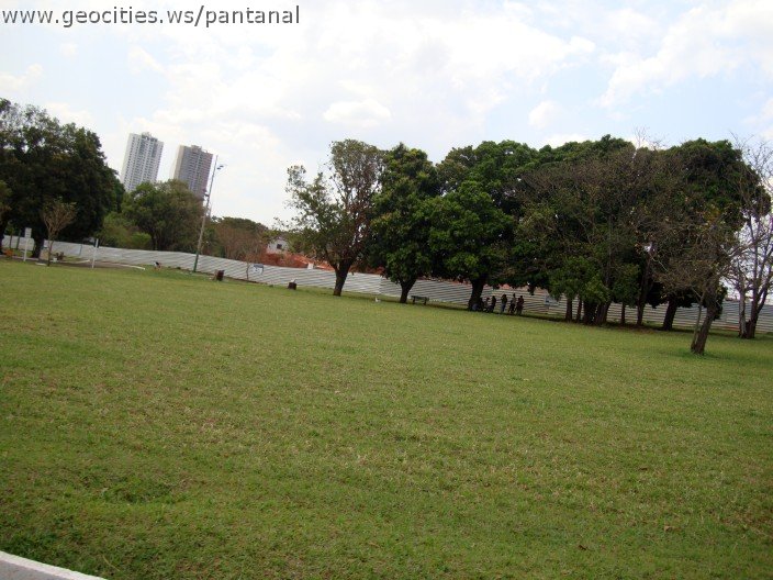 3642-geocities-ws-pantanal.jpg
