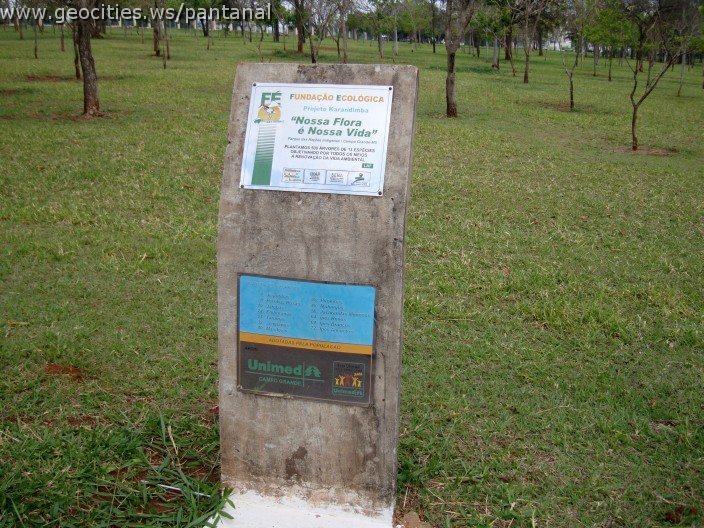 3643-geocities-ws-pantanal.jpg