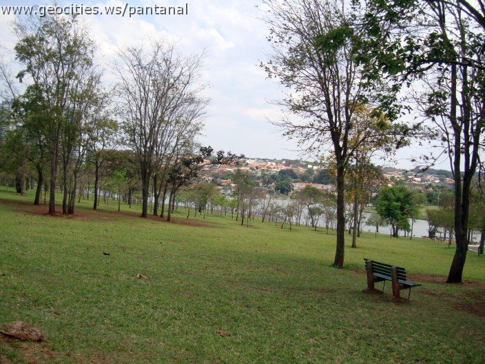 3648-geocities-ws-pantanal.jpg