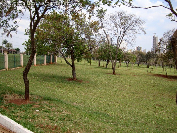 3652-geocities-ws-pantanal.jpg
