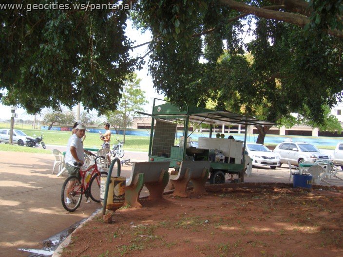 3654-geocities-ws-pantanal.jpg