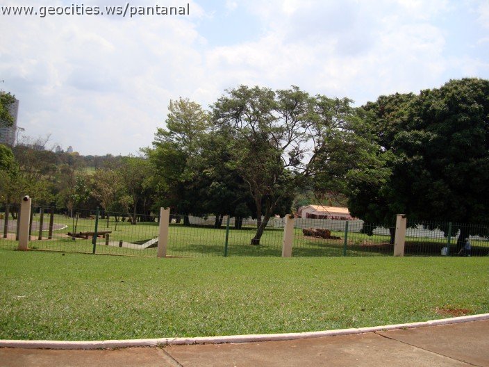 3655-geocities-ws-pantanal.jpg