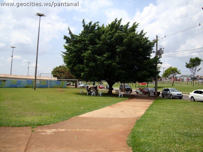 3656-geocities-ws-pantanal.jpg
