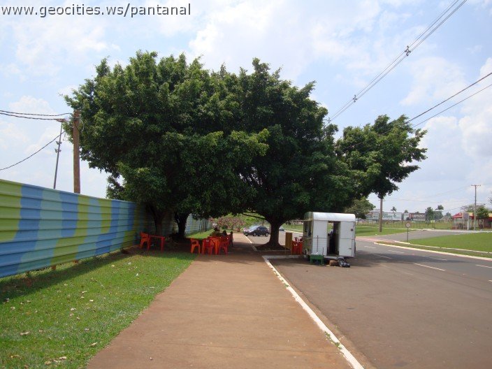 3659-geocities-ws-pantanal.jpg