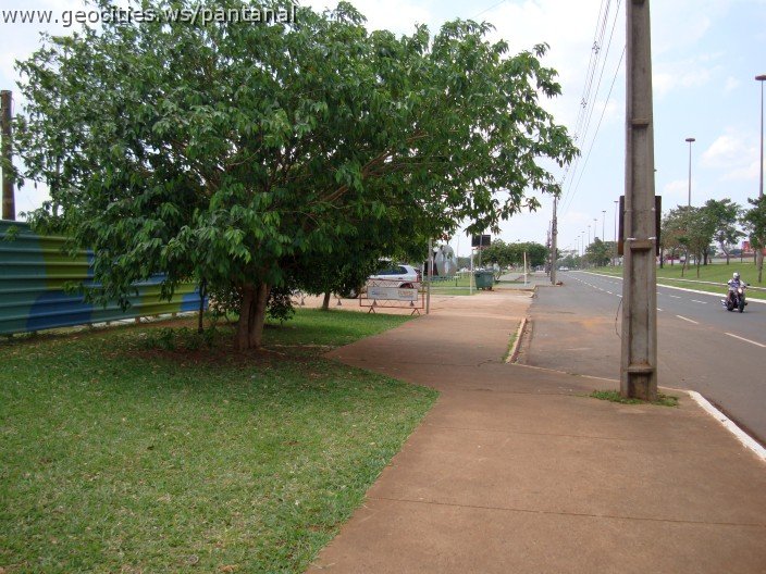 3662-geocities-ws-pantanal.jpg