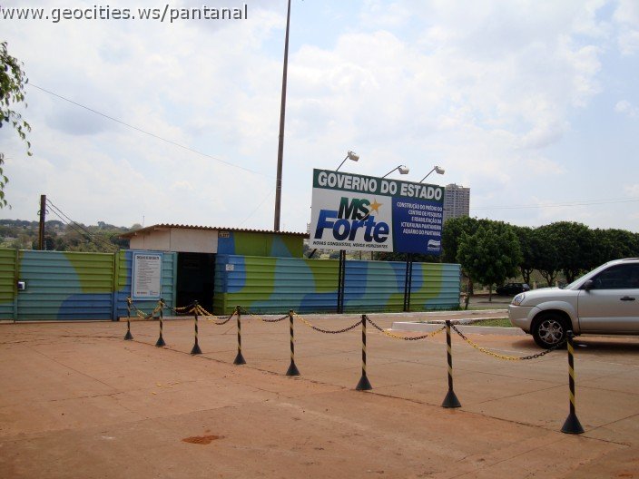 3663-geocities-ws-pantanal.jpg