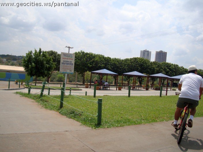 3665-geocities-ws-pantanal.jpg