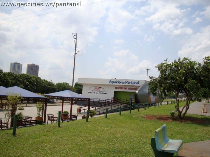 3666-geocities-ws-pantanal.jpg